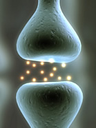 Hormones Bioidentical Los Angeles